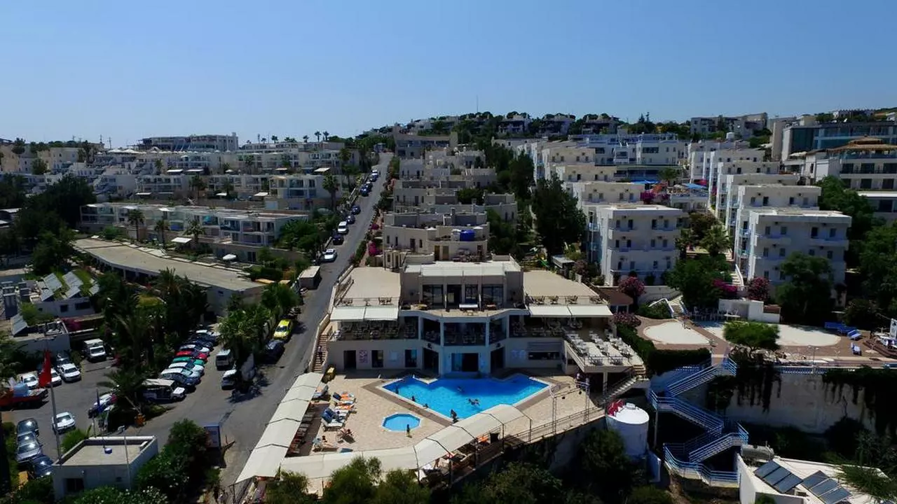 ROSSOVERDE_SHABAVIZ (10).jpg